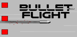 Bullet Flight